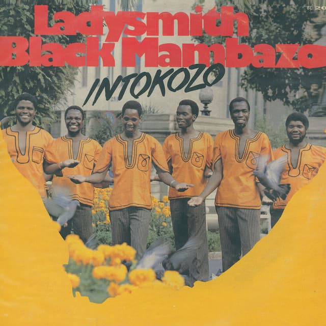 Wonke Amehlo Azokumbona cover art