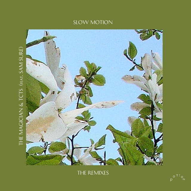 Slow Motion (feat. Sam Sure) - Boston Bun Remix cover art