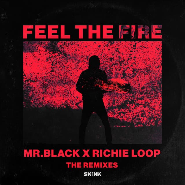 Feel The Fire (The Remixes) cover art