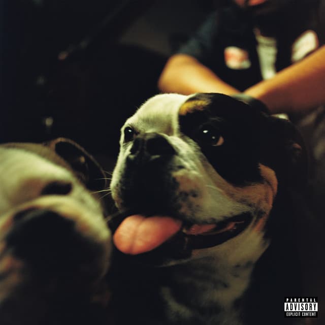 BE WHAT I WANT (feat. Paris Texas) cover art