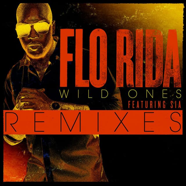 Wild Ones (feat. Sia) - Alex Guesta Remix cover art