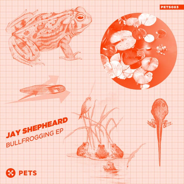 Bullfrogging - Mark Henning Remix cover art