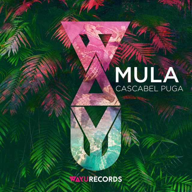 Cascabel Puga - Kaöb Remix cover art
