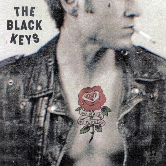 No Rain, No Flowers cover art