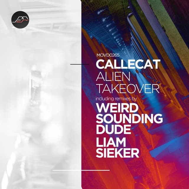 Alien Takeover - Weird Sounding Dude Remix cover art