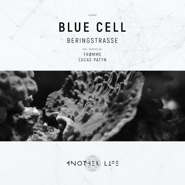 Beringstrasse cover art