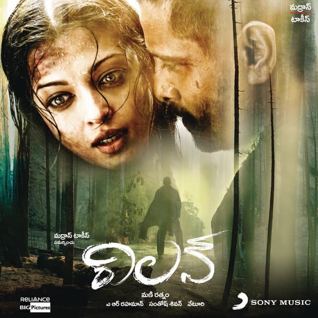 Veera Veera cover art