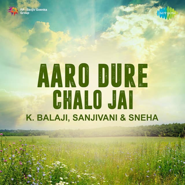 Aro Dure cover art