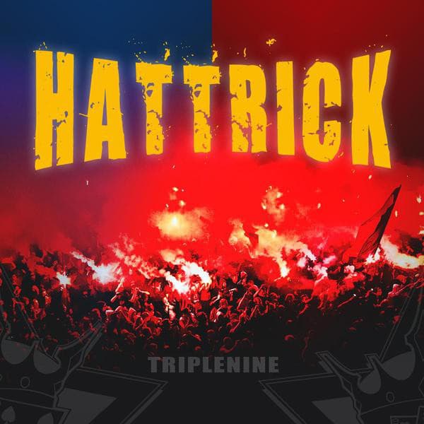 Fahne und Füür - Maischtertrack 2012 cover art