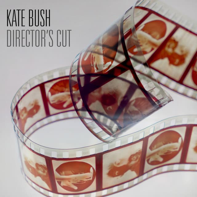 Director's Cut (2018 Remaster) cover art