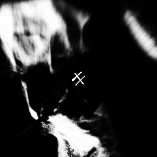 Without Sin cover art
