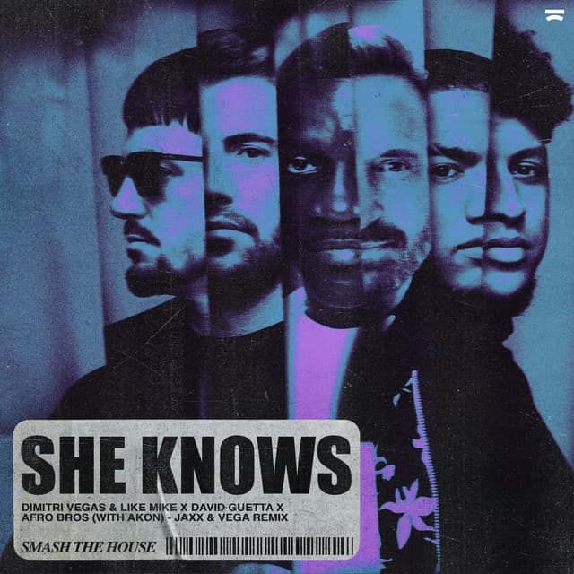 She Knows (with Akon) - Jaxx & Vega Remix cover art