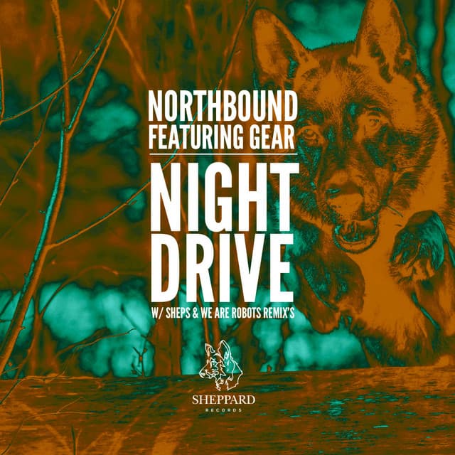 Night Drive - Original Mix cover art