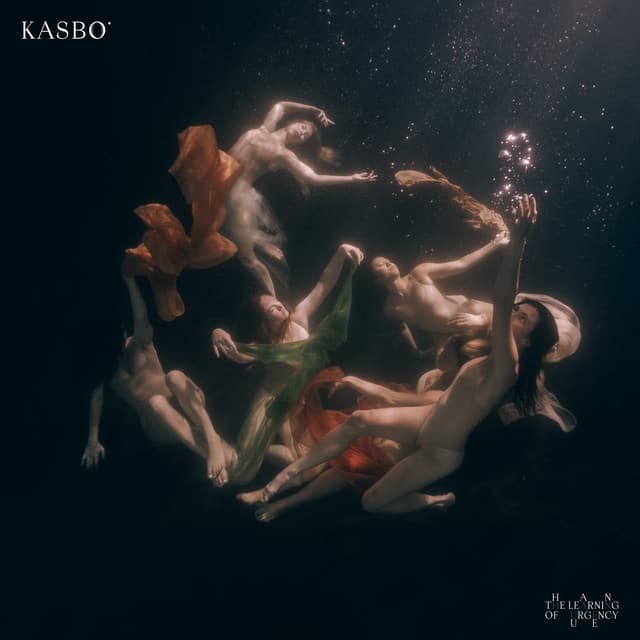 The Learning of Urgency cover art