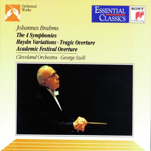 21 Hungarian Dances, WoO 1: No. 17 in F-Sharp Minor. Andantino - Vivace cover art