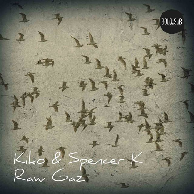 Raw Gaz cover art