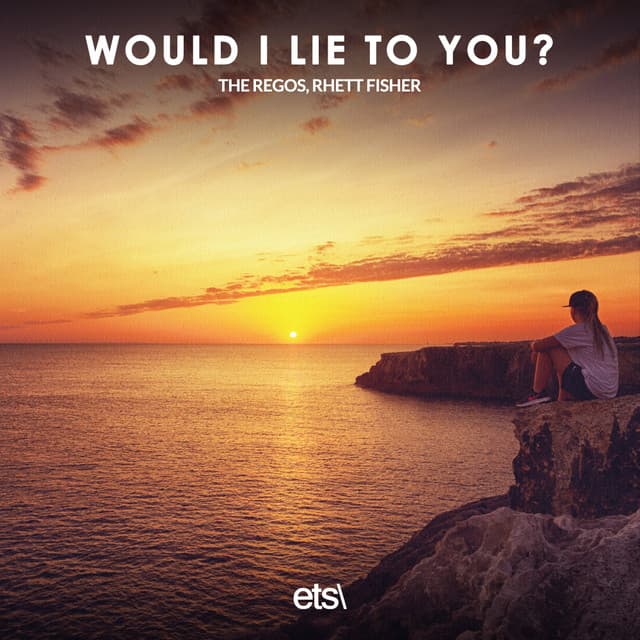 Would I Lie To You? cover art