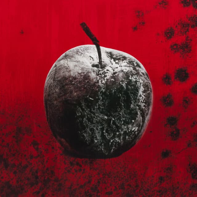 Black Mold cover art