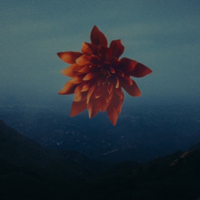 Everybody Knows cover art