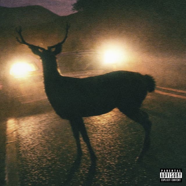 Picasso cover art