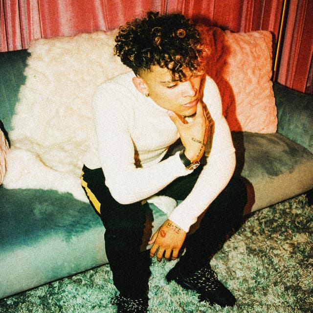 wasted cover art
