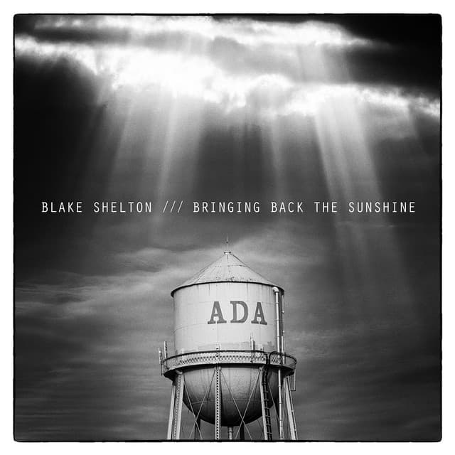 BRINGING BACK THE SUNSHINE cover art