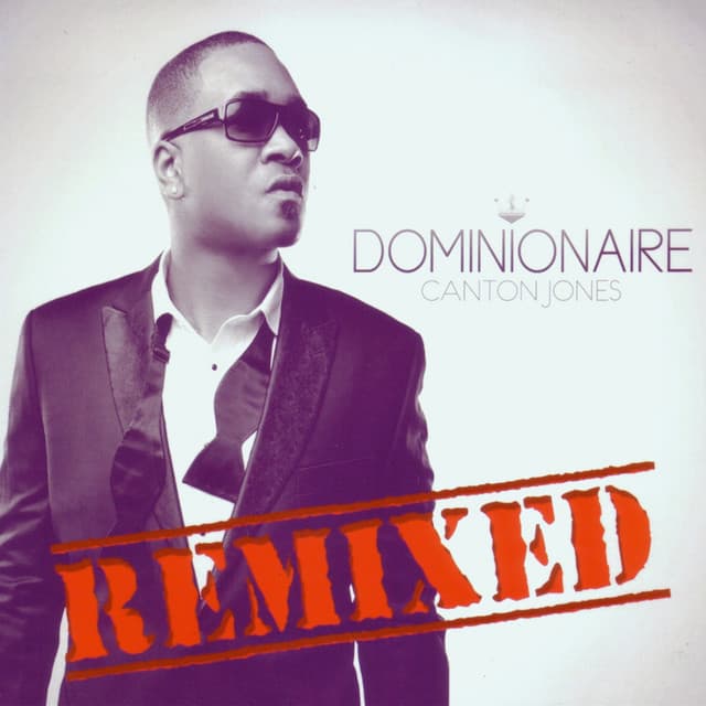 Already Gone (feat. Hoze Millionaire & D Maub) (Remix) cover art
