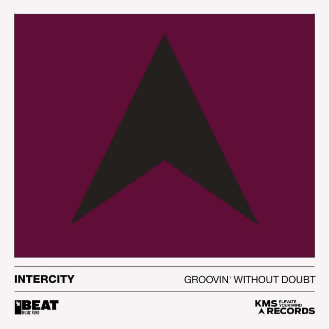 Groovin' Without Doubt cover art