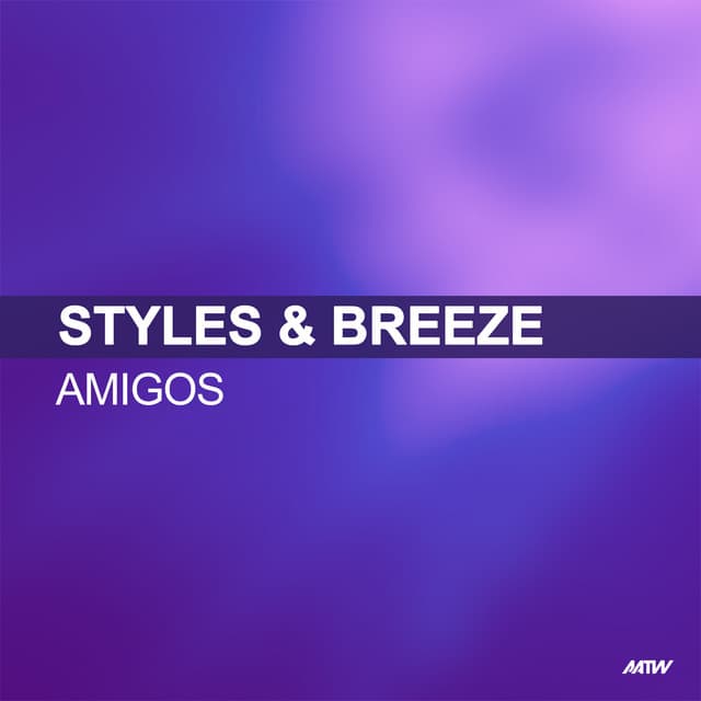Amigos - Jorg Schmid Remix / Styles & Breeze Presents Infextious cover art