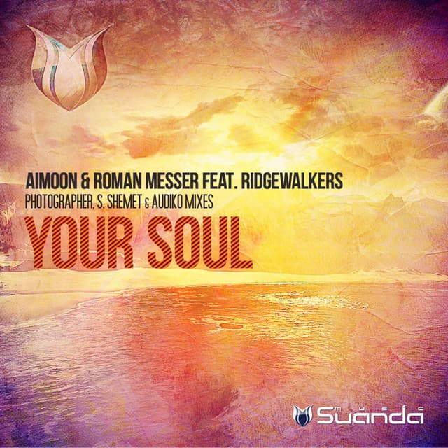 Your Soul (Remixes) cover art