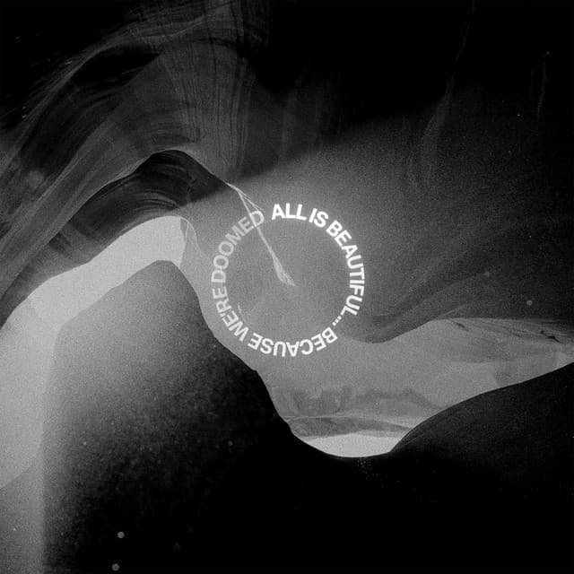 where did you go? cover art