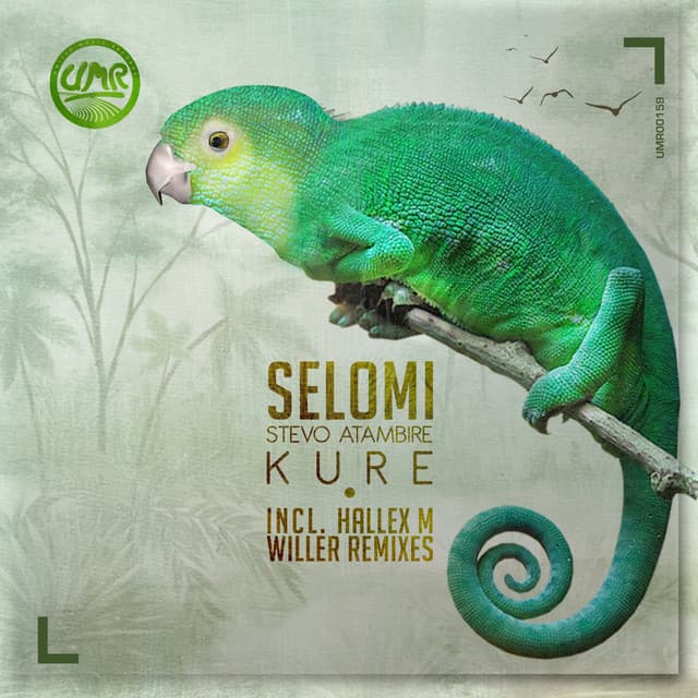 Kure - Hallex M Remix cover art