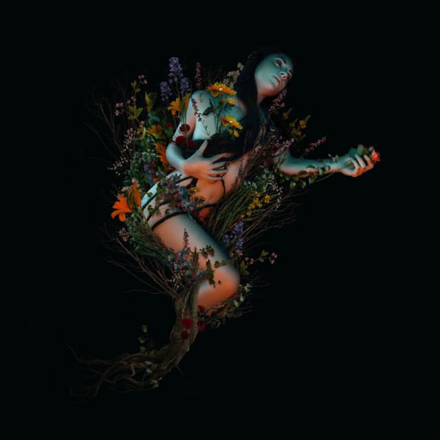Bloom cover art