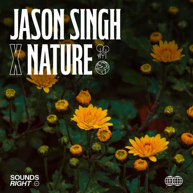⁠Nature Flows (Ogwell Stream) cover art