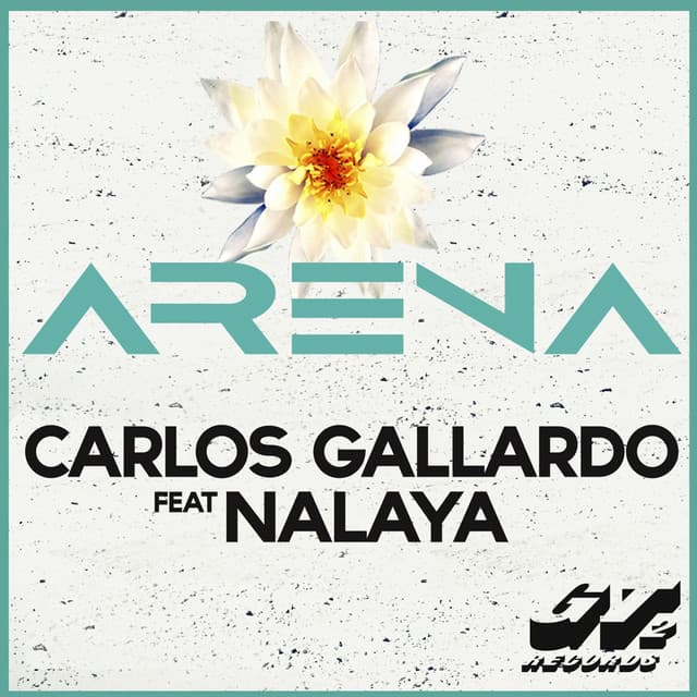 Arena - Radio Edit cover art