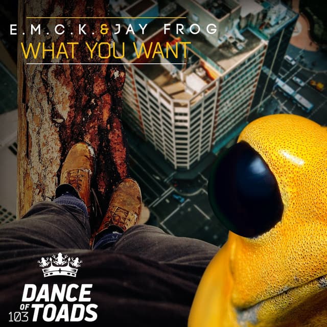 What You Want - Radio Edit cover art