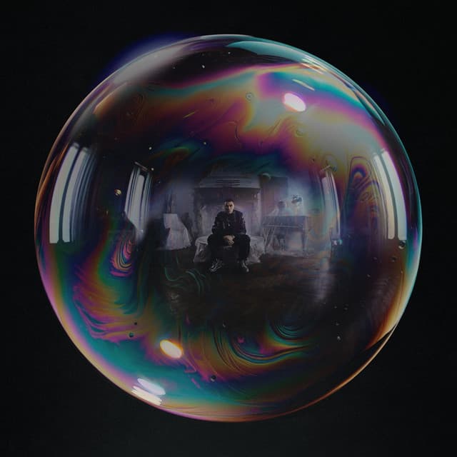LEI cover art