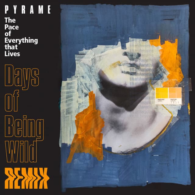 Days of Being Wild