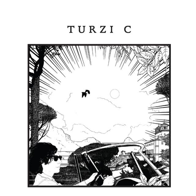 C cover art