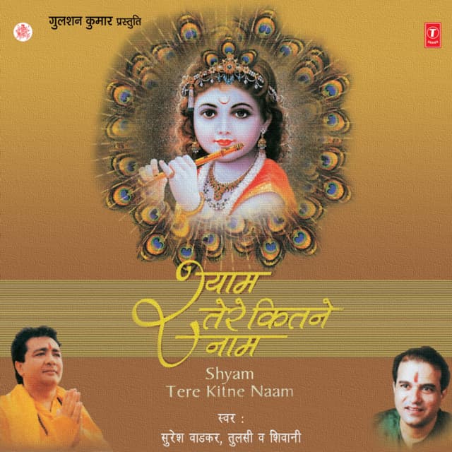 Shyam Tere Kitne Naam cover art