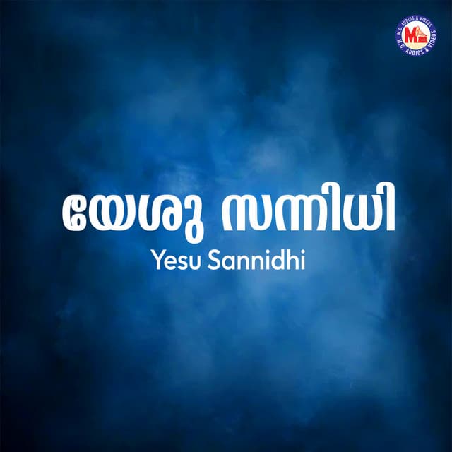 Ne sannidhi naa pennidhi cover art