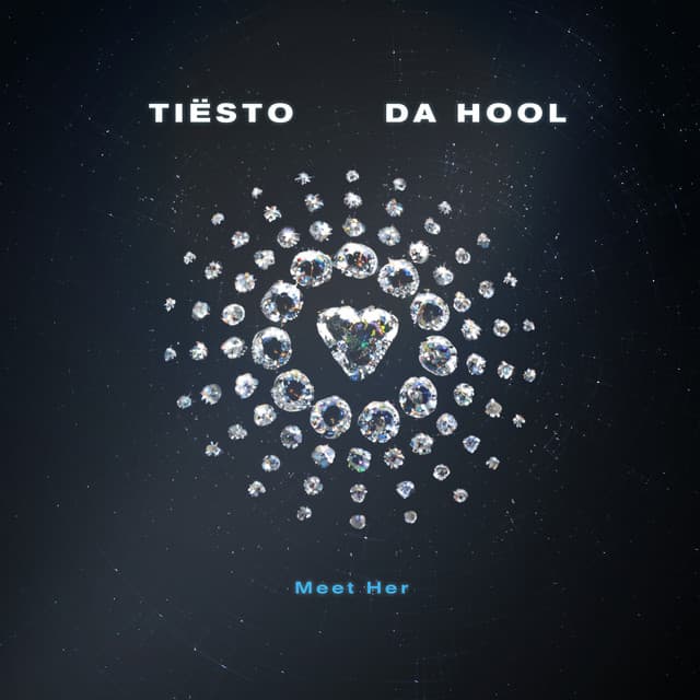 Meet Her - Tiësto vs. Da Hool cover art
