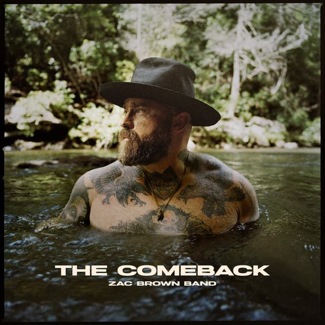 Wild Palomino cover art