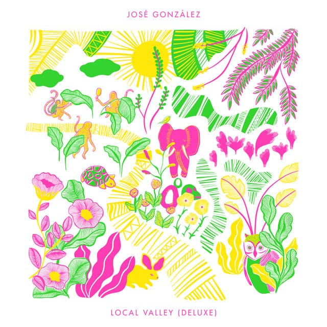 Local Valley (Deluxe) cover art