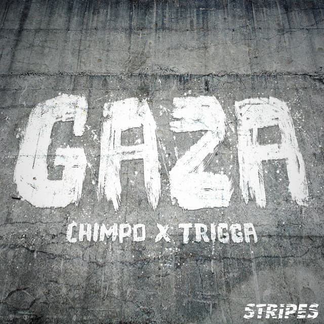 Gaza cover art