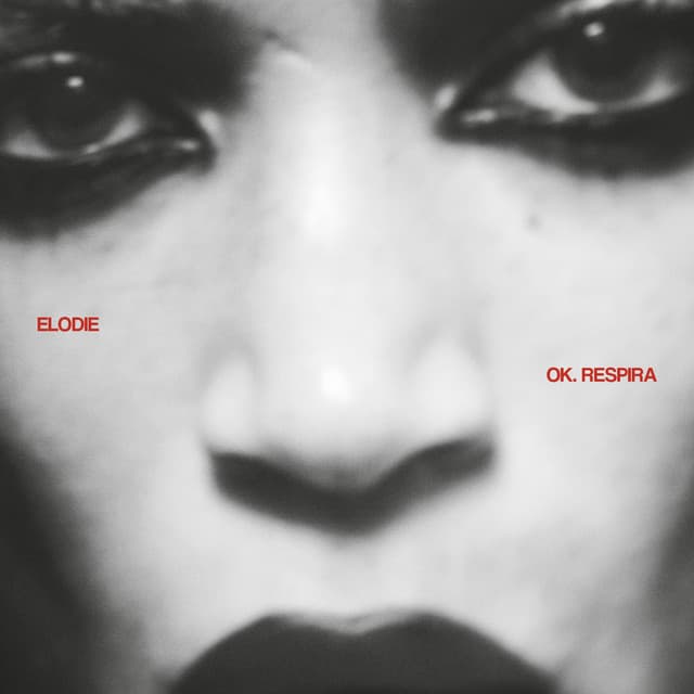 Pazza Musica cover art