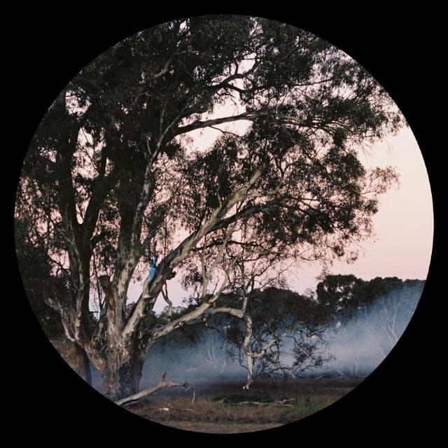 Morning Tide cover art