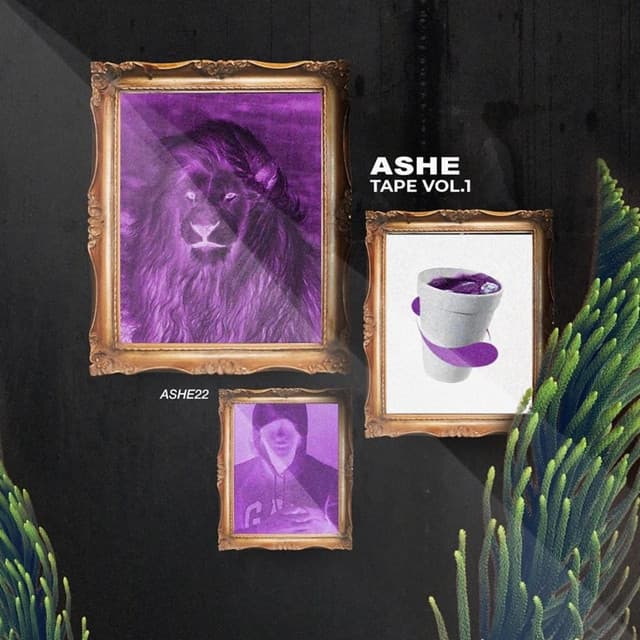 Ashe Tape, Vol. 1 cover art