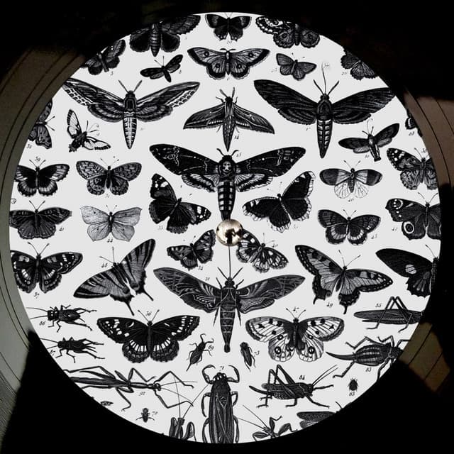 Imperfection (James Welsh Remix) cover art