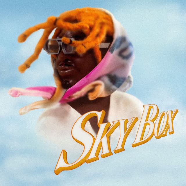 SKYBOX cover art